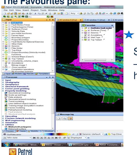 Petrel Definition Pdf Swwatchz 3