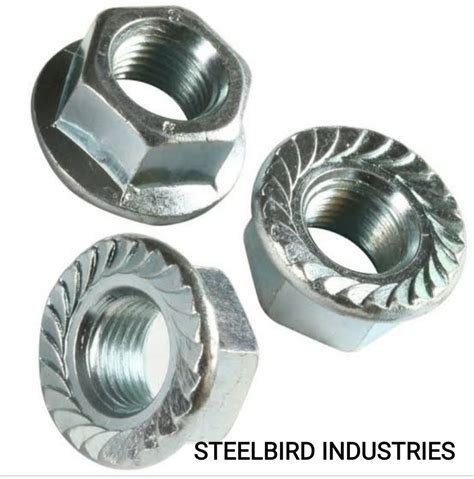 Stainless Steel Flange Nut At Rs 4piece Stainless Steel Flange Nut In Mumbai Id 23895981955