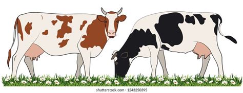 1,276 Cow Eating Grass Drawing Royalty-Free Photos and Stock Images ...