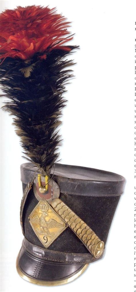 Shako of the 9th hussars1806 Empire Museum Наполеоновские войны