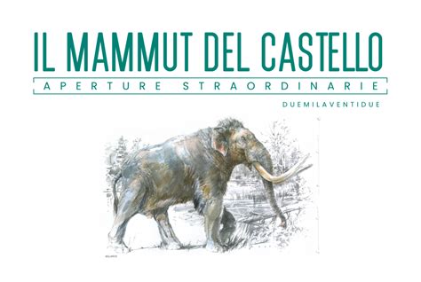 Il Mammut Del Castello Di Nuovo Visibile Al MuNDA