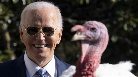 Biden turkey pardon 2024: Peach and Blossom continue White House turkey ...