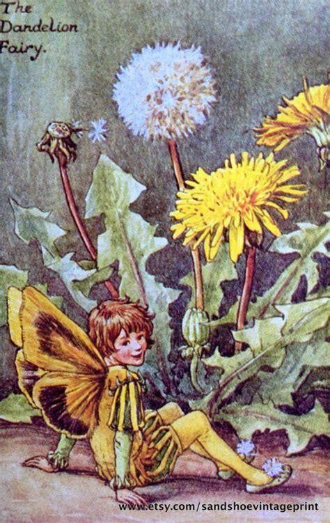 1930s Dandelion Fairy And The Windflower Fairy Cicely Mary Barker