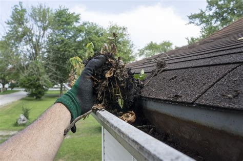 Roof Maintenance 101 6 Essential Tips To Know Tasteful Space