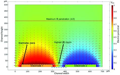 Electric Potential And Electric Field Distribution Of A Xy Plane Cut