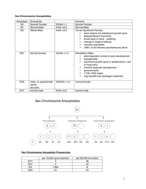 Sex Chromosome Aneuploidies Karyotype Drosophila Humans XX