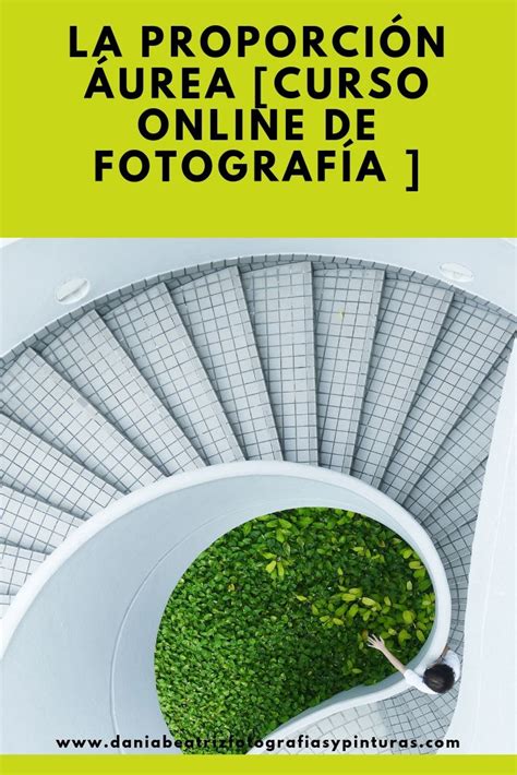 La Proporci N Urea Curso Online De Fotograf A Cursos De