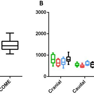 Cortical Bone Thickness In The Femoral Diaphysis From Sedentary Sed