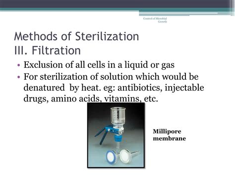 Ppt Control Of Microbial Growth Powerpoint Presentation Free