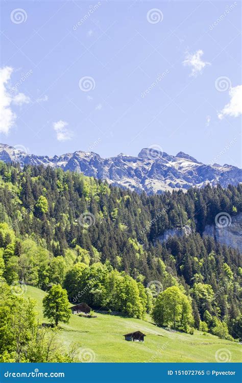 Zwitserse Alpen Alpiene Bergen Het Landschap Van De Berg Grote Rozsutec