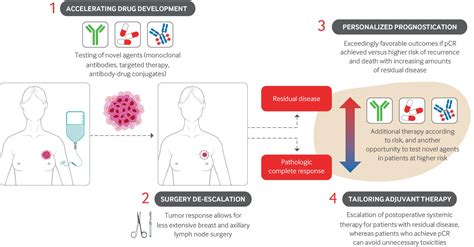 Advances In Systemic Therapies For Triple Negative Breast Cancer The BMJ