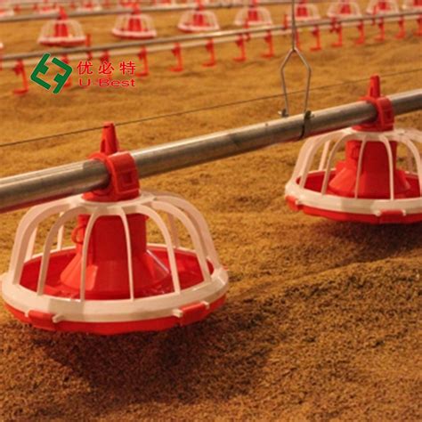 Full Set Modern Automatic Chicken House Feeding System Poultry Farm