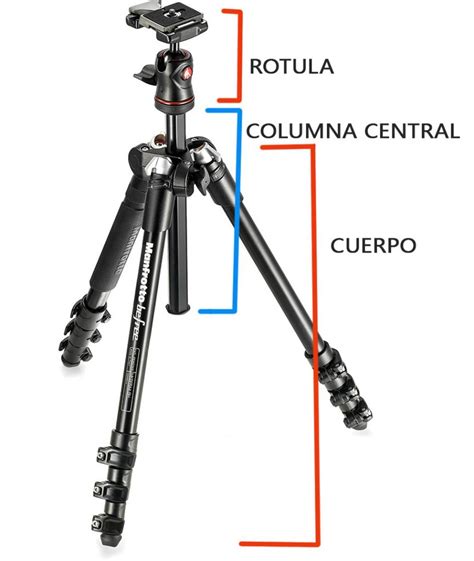 Cuál es el trípode ideal para fotografía Foto321