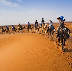 ⇒ The Best 3 Days Marrakech to Fes Desert Tour 【135