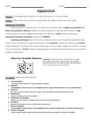 Gummy bear osmosis lab .pdf - Name: Date: Gummy Bear Osmosis Lab ...