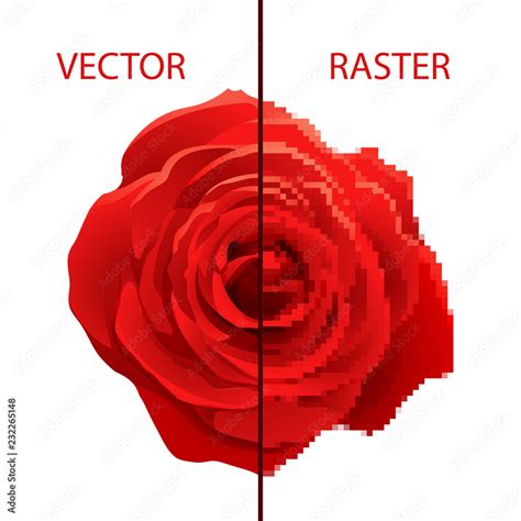 Vetor De Example Of Vector And Raster Comparison Difference Between