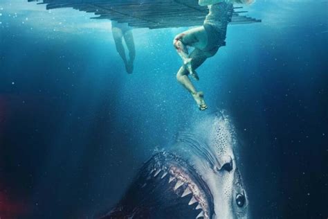 15 Best Shark Movies On Netflix