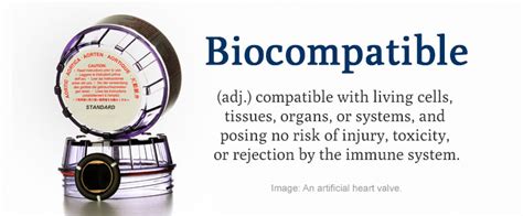 Which Plastics Are Biocompatible