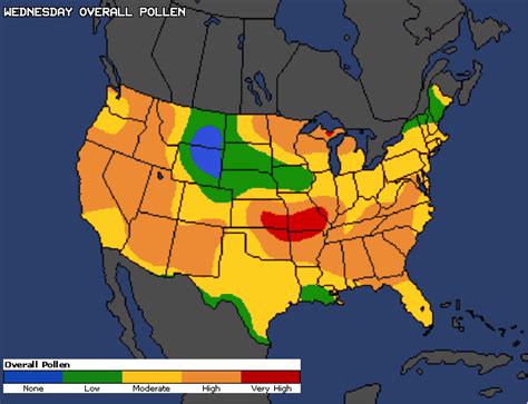 Weather Allergy Report