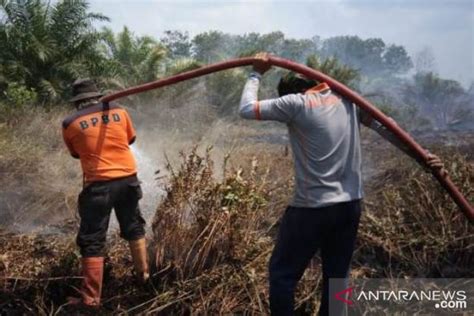 21 Titik Panas Terdeteksi Di Kalimantan Timur ANTARA News