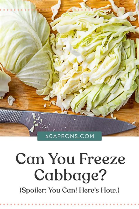 Step By Step Guide Freeze Fresh Cabbage Heads Artofit