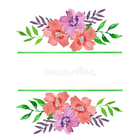 Quadro Floral Da Aquarela Linhas Verdes E Ramalhetes Ilustração