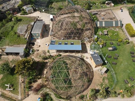 Gigantic Bamboo Domes To Provide New Home For Rescued Primates On The