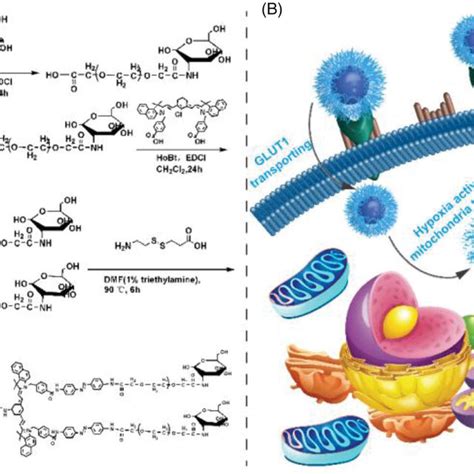 Characterization Of Conjugate Based Micelles A Surface Tension At