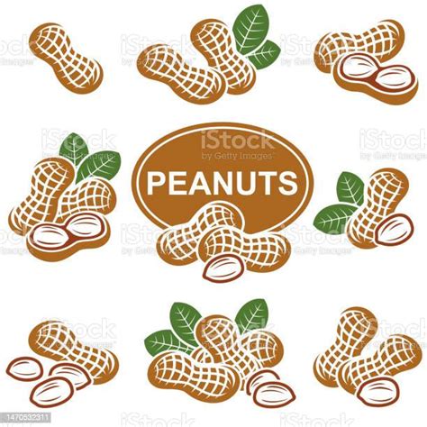 Peanuts Set Collection Icon Peanuts Vector Stock Illustration