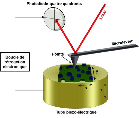 Sch Ma De Principe De La Microscopie Force Atomique En Mode