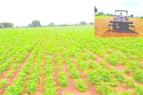 Timely sown better groundnut crop using Tractor Drawn 8 Row Ananta... | Download Scientific Diagram