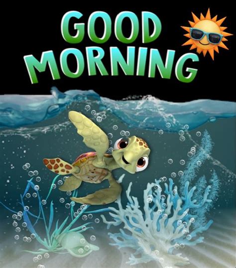 40 Good Morning Turtle Images And S Good Morning Wishes