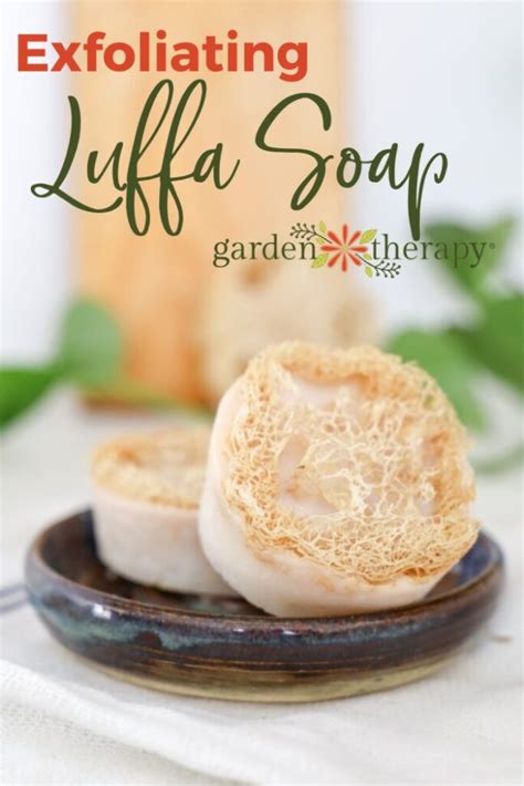 Exfoliate With Homemade Loofah Soap Made From A Vegetable Garden