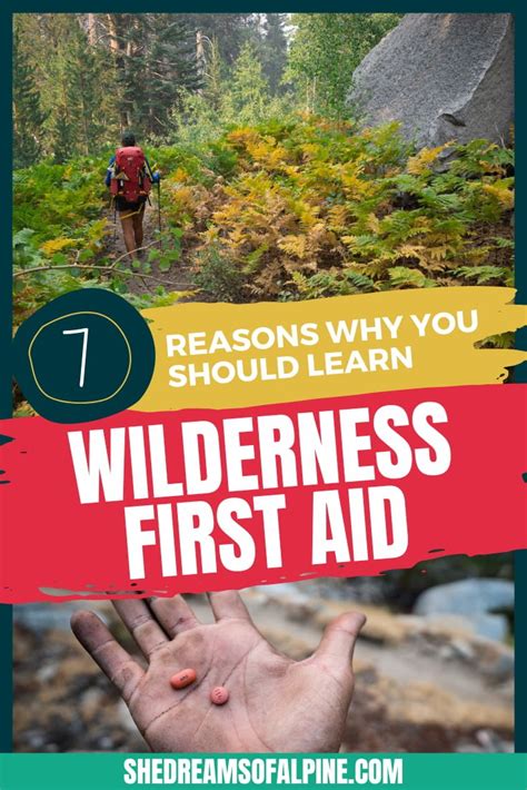 Reasons Why You Should Learn Wilderness First Aid She Dreams Of Alpine