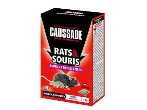 Rats Souris C R Ales G Esp Ces R Sistantes Florol