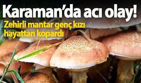 Karaman Da Toplad Klar Mantardan Zehirlenen Gen K Z Hayat N Kaybetti