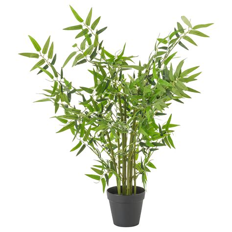 Fejka Artificial Potted Plant Inoutdoor Bamboo 12 Cm Ikea Lietuva