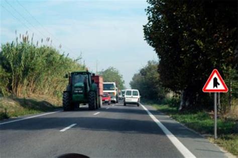 Segurança Rodoviária Testes Online