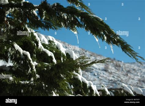 Israel Hermon Mountain Stock Photo - Alamy