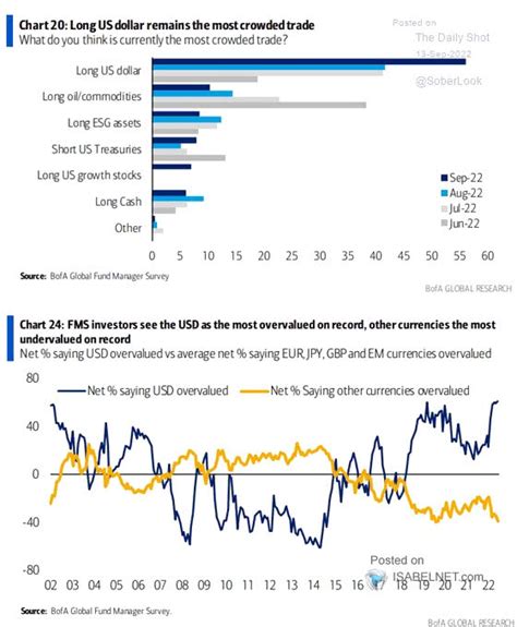 Isabelnet On Twitter Dollar Fms Investors Think The Most Crowded