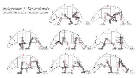 Animal Walk Cycle