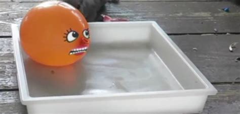 visual phenomena core