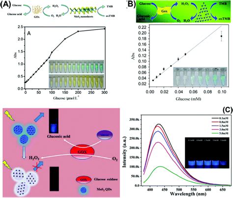 Two Dimensional Materials In Biomedical Biosensing And Sensing