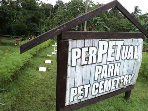 Pet Cemetery Quotes. QuotesGram