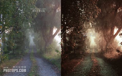 史诗！芬兰气氛大师米可拉格斯特德氛围风光预设合集 Mikko Lagerstedt The Epic Preset Collection 自然