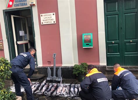 Portici Sequestrati Prodotti Ittici Sottomisura Sbarco Illegale Di