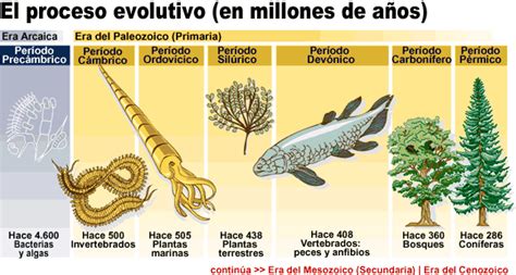 Primeras Formas De Vida En La Tierra Aparicion Y Evolucion Citas Para Sexo En Oviedo