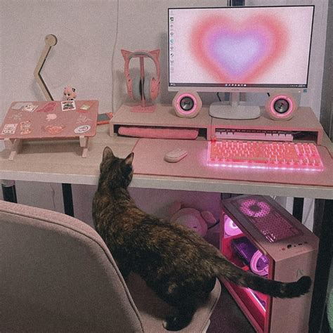 Bonus Cat In A Very Pink Battle Station Rbattlestations