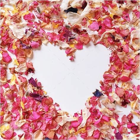 Pink Dried Petals In A Heart Shape Stock Photo By Juliealexk Photodune