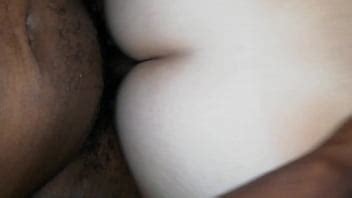 Perrito XVIDEOS
